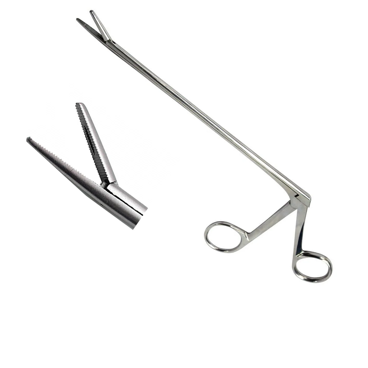 Alligator forcep